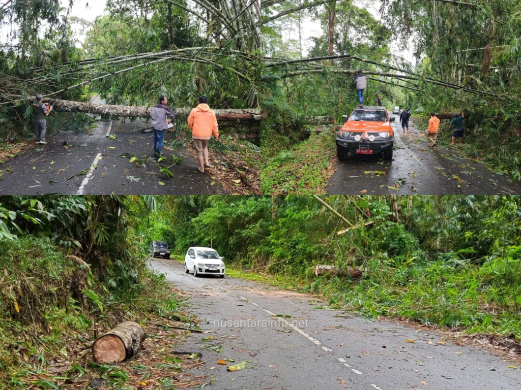 photo-collage.png (18)