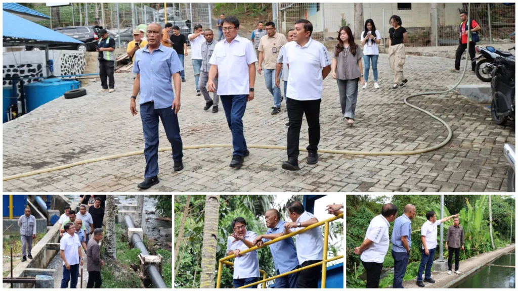 photo-collage.png (61)